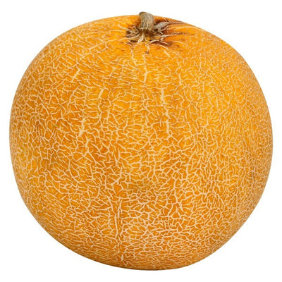 Melon, Galia