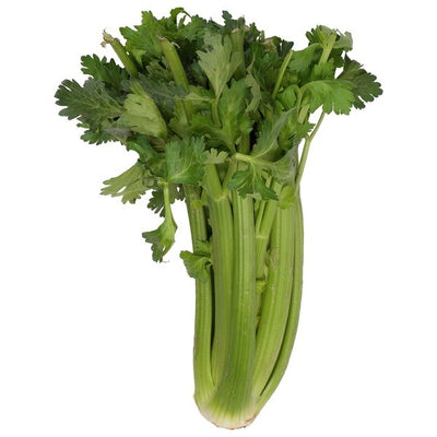 Celery, Organic
