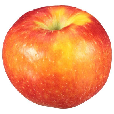 Apple, Regal 13-82