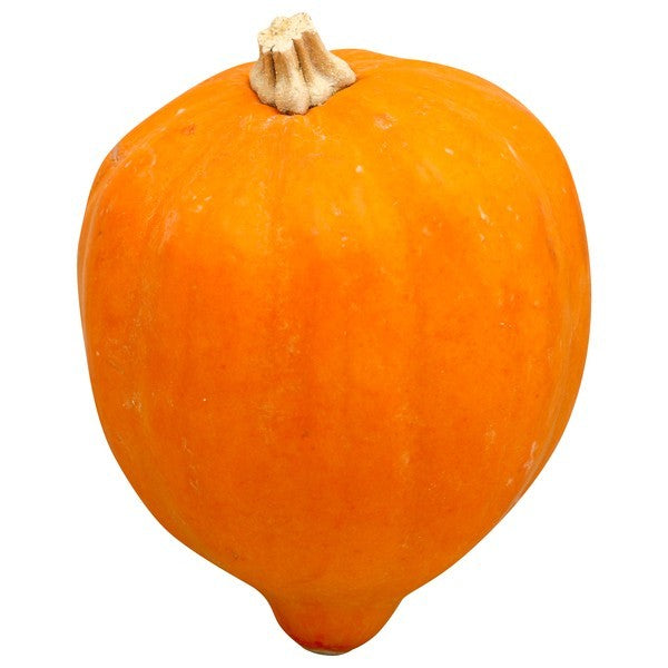 Squash, Golden Acorn