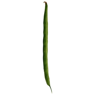 Bean, Green