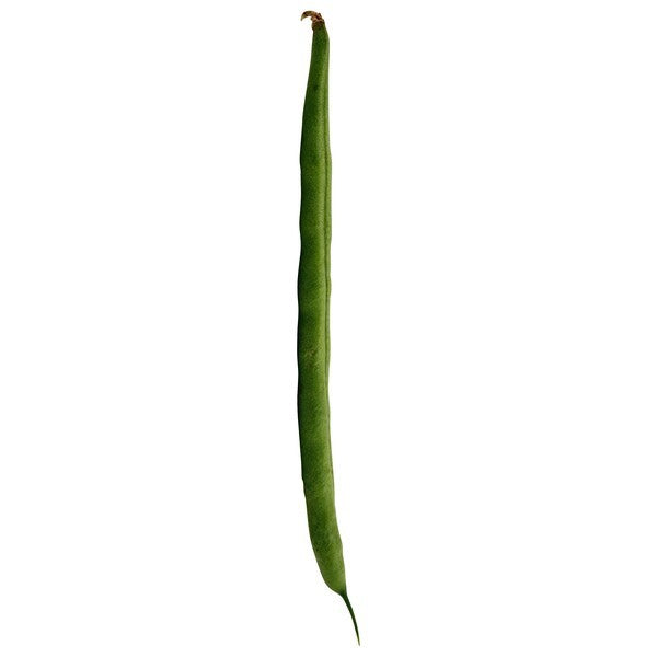 Bean, Green