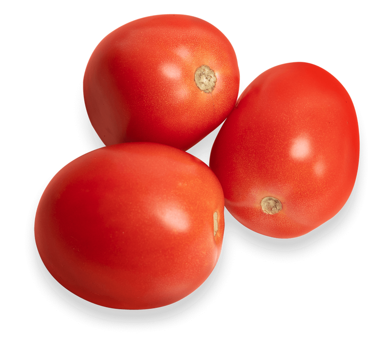 Tomato Roma Large 25#
